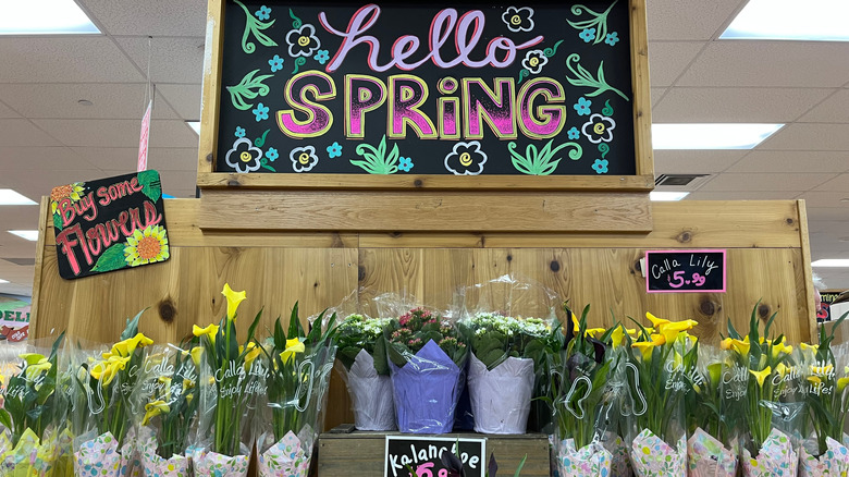 Trader Joe's spring store display with flowers