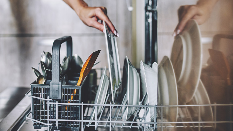 Person loading a dishwasher with a plate in their hand