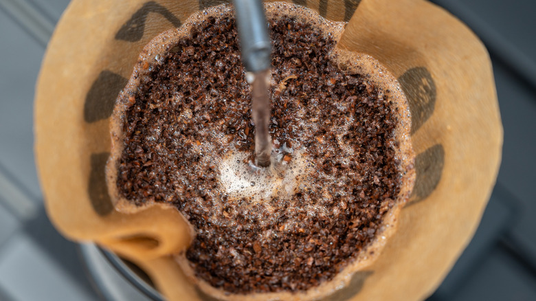 Wet coffee grounds and filter