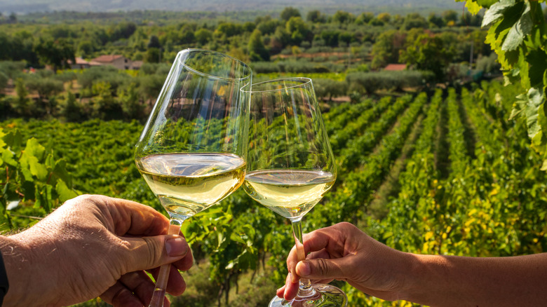 Two hands hold glasses of white wine with a green vineyard in the background.