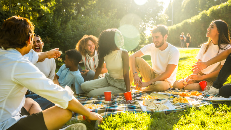 A group of friends gathered around a picnic blanket.