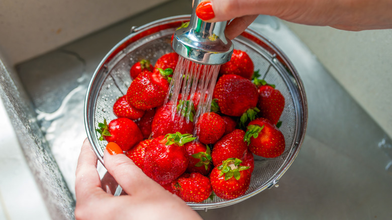Strawberries being washing in a sink