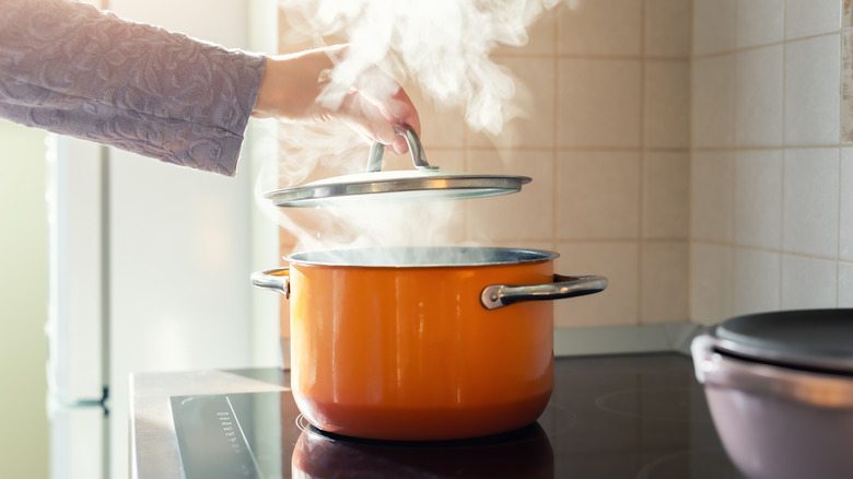 Steam escapes from a pot as someone lifts the lid off on an induction stove