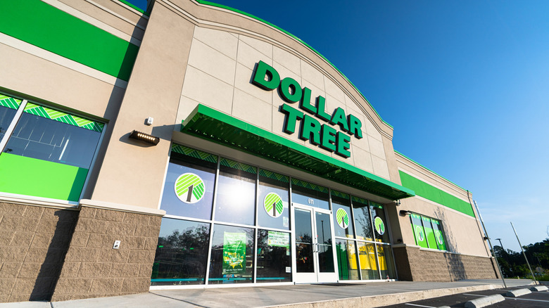 Dollar Tree business storefront exterior