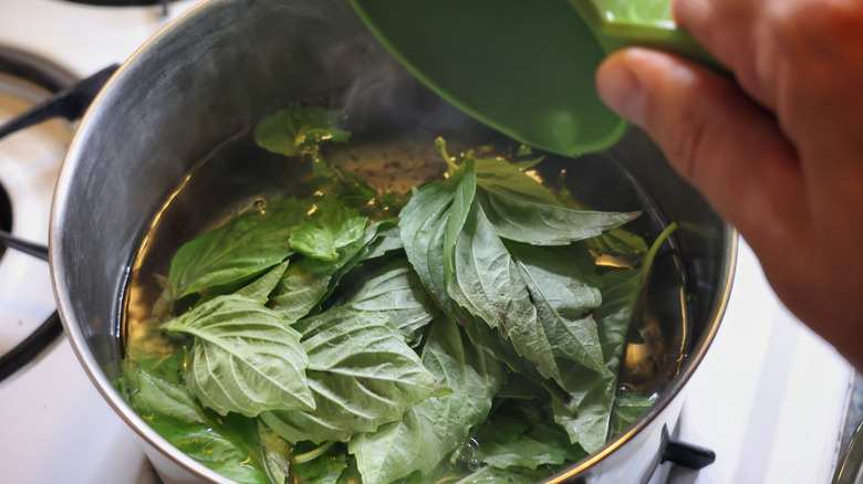 basil leaves in saucepan of water and hand holding measuring cup above it
