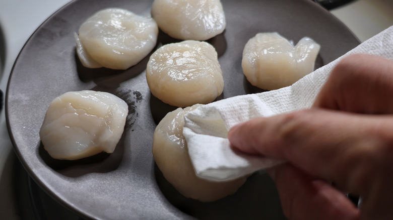 hand patting scallops with paper towel