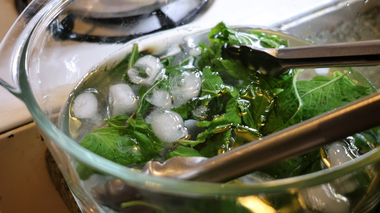 blanched basil in an ice bath in a glass mixing bowl