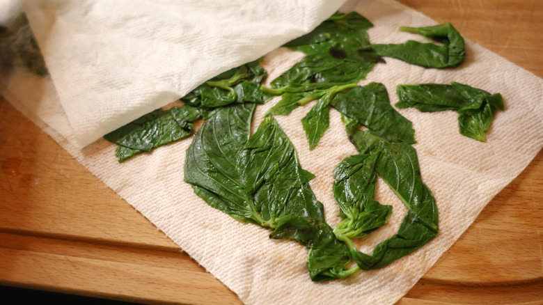 blanched basil leaves on paper towel on wooden cutting board