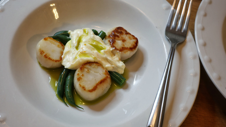 seared scallops and green beans plated in a shallow white bowl with basil oil and whipped compound butter.
