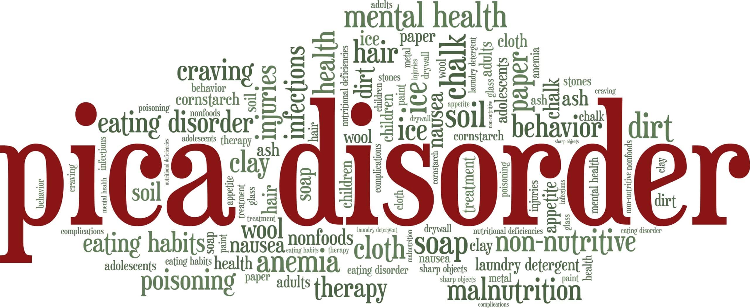 Pica disorder vector illustration word cloud isolated on a white