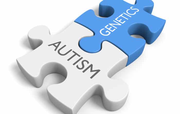 Two puzzle pieces with the words "Autism" and "Genetics" on them