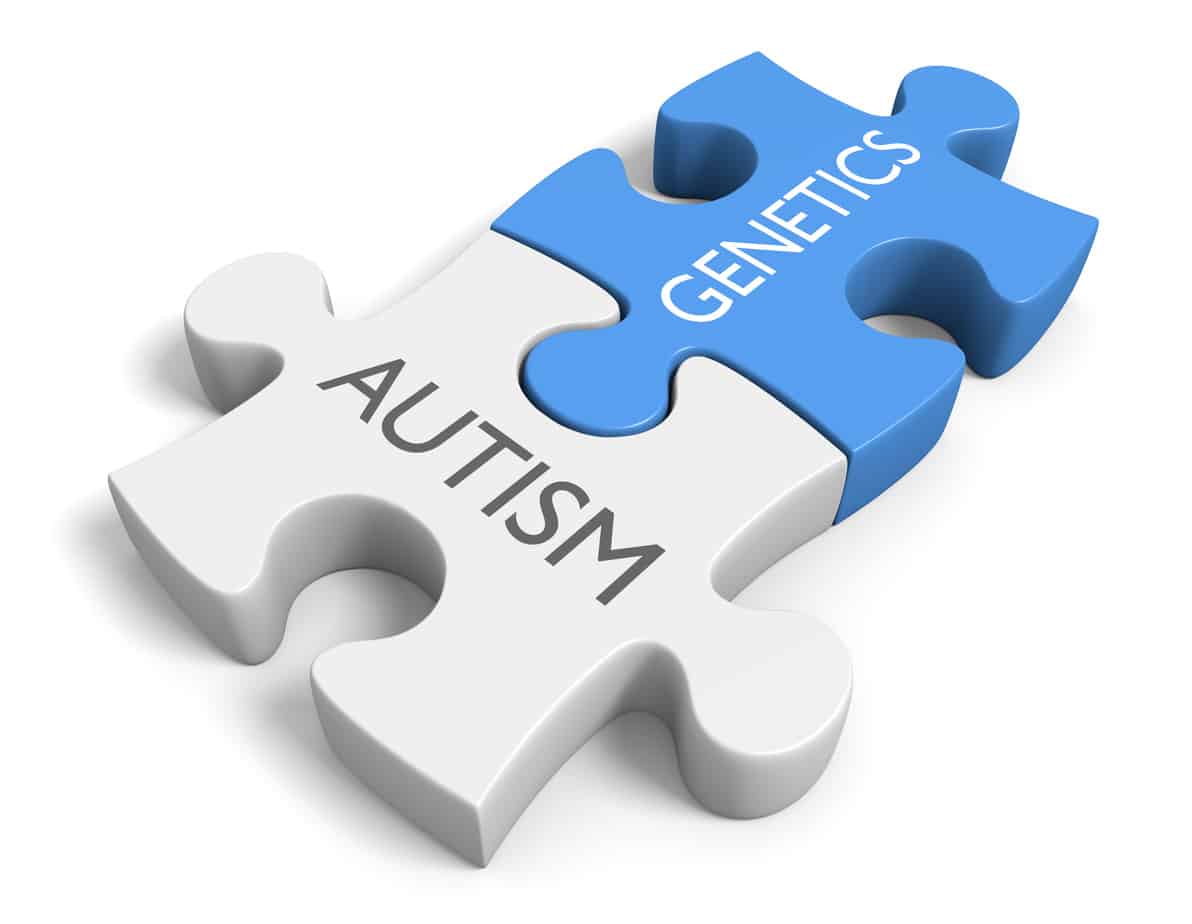 Two puzzle pieces with the words "Autism" and "Genetics" on them