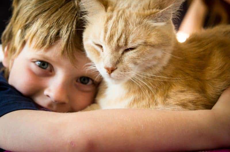 Kid is hugging a cat