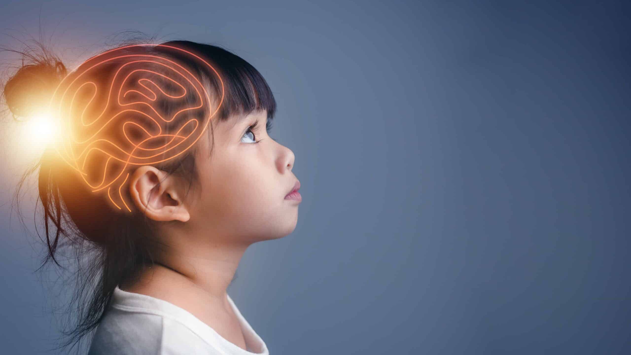 Drawing of a brain outlined over a young girl's head