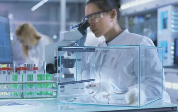 Medical Research Scientist Examines Laboratory Mice and Looks on Tissue Samples under Microscope. She Works in a Light Laboratory.