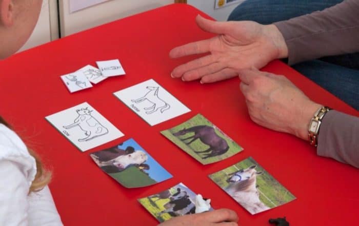Woman showing a child animal pictures