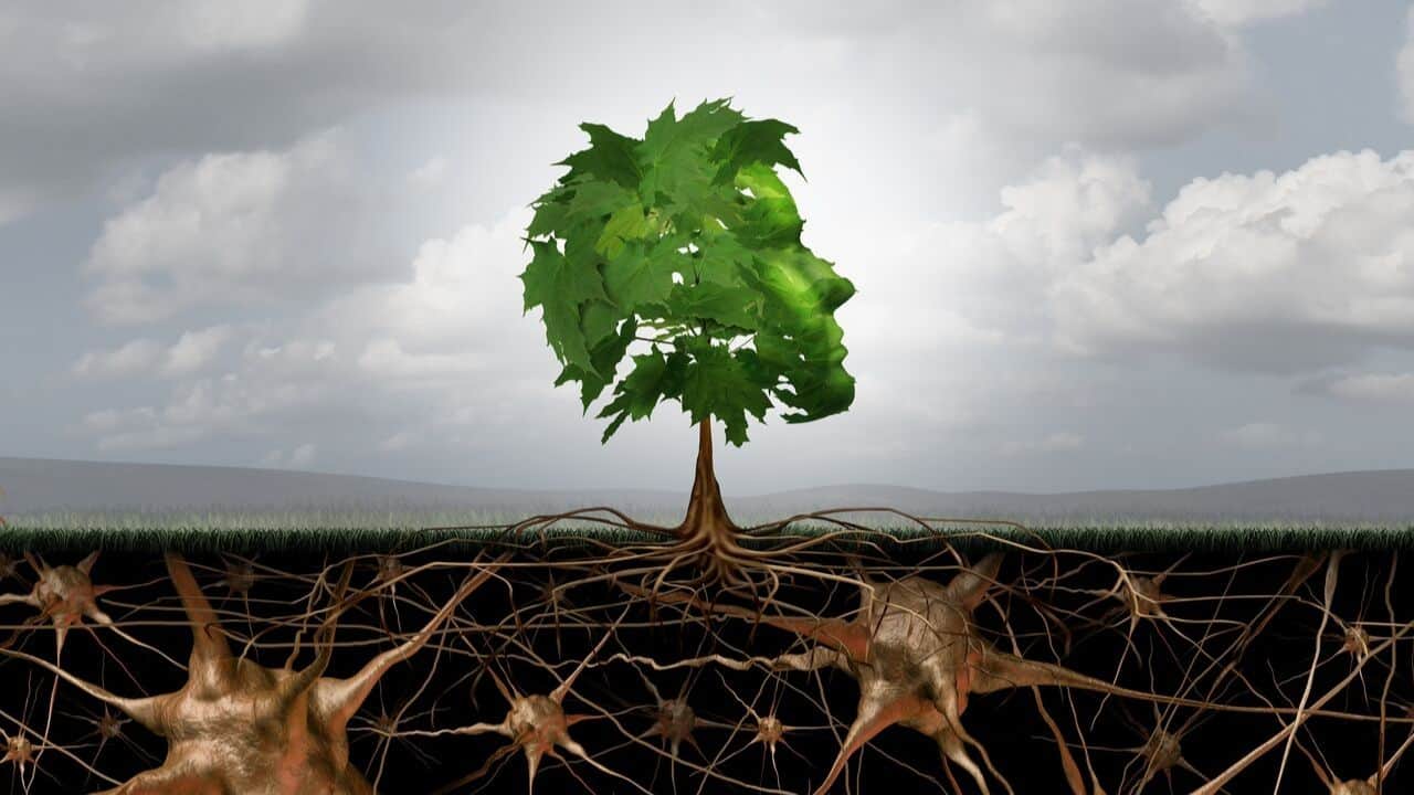 Artistic representation of a tree with a face and cellular details