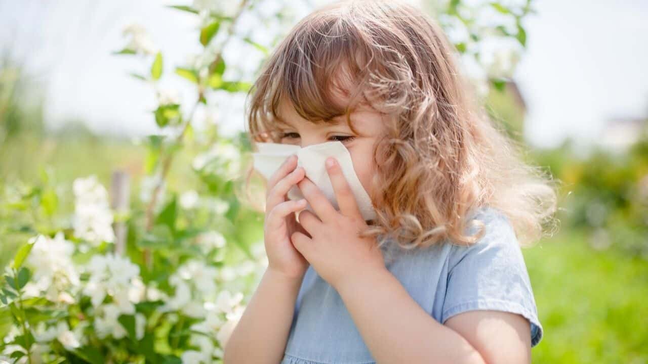 Child experiencing an allergy reaction, covering face with a napkin